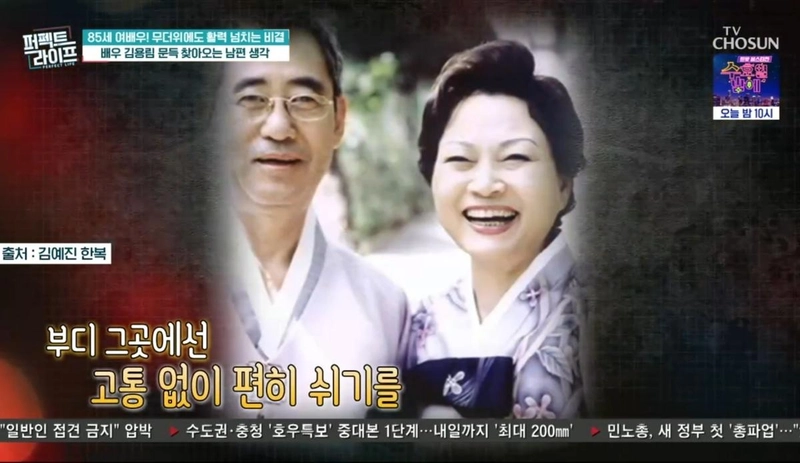 TV조선 '퍼펙트 라이프'