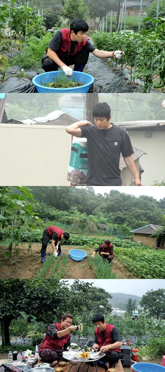 “기안84·김대호, 동갑내기 밭 예능에서 터진 진짜 먹방 케미→특급 레시피에 감탄”