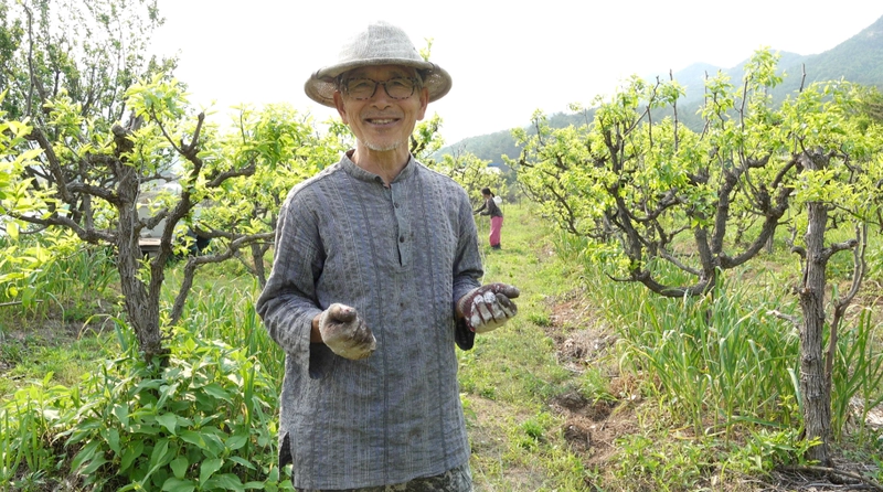 인간극장 부부의 진심 채밀