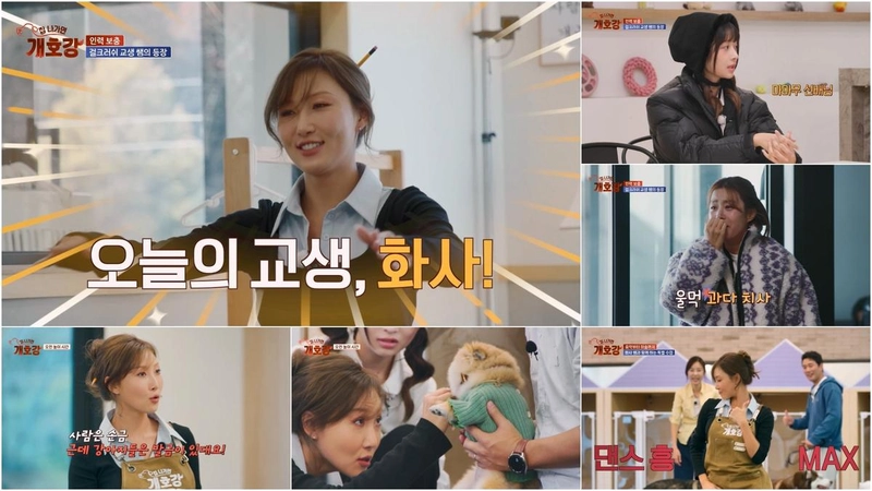 “점쟁이로 변신한 화사”…마마무 화사, ‘집나가면개호강’서 강소라 울린 발금 풀이→유치원 원생 홀렸다 / JTBC