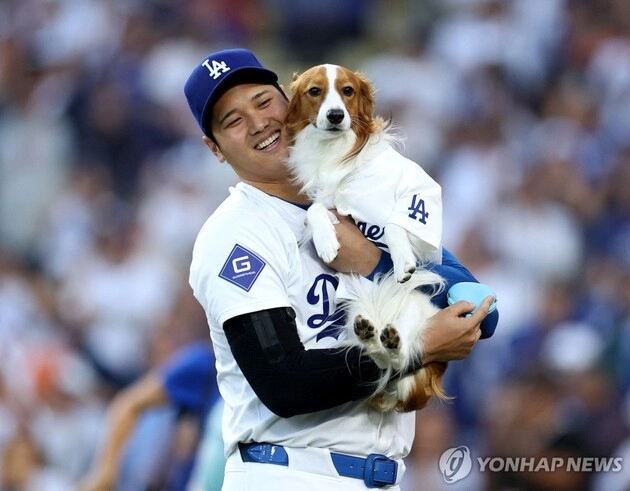 “데코이와 개막전 주인공”…오타니, MLB 공식 아동 도서 공동 집필 / 연합뉴스
