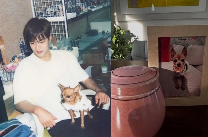 “이민호·양희은, 반려견 이별도 공유한다”…스타들 SNS 애도 물결→공감과 논란 교차