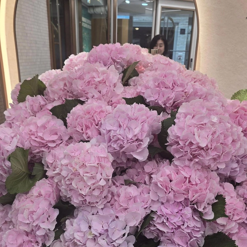 “딸을 닮은 수국처럼”…김미경, 여름 오후→잔잔한 사랑의 기운 / 배우 김미경 인스타그램