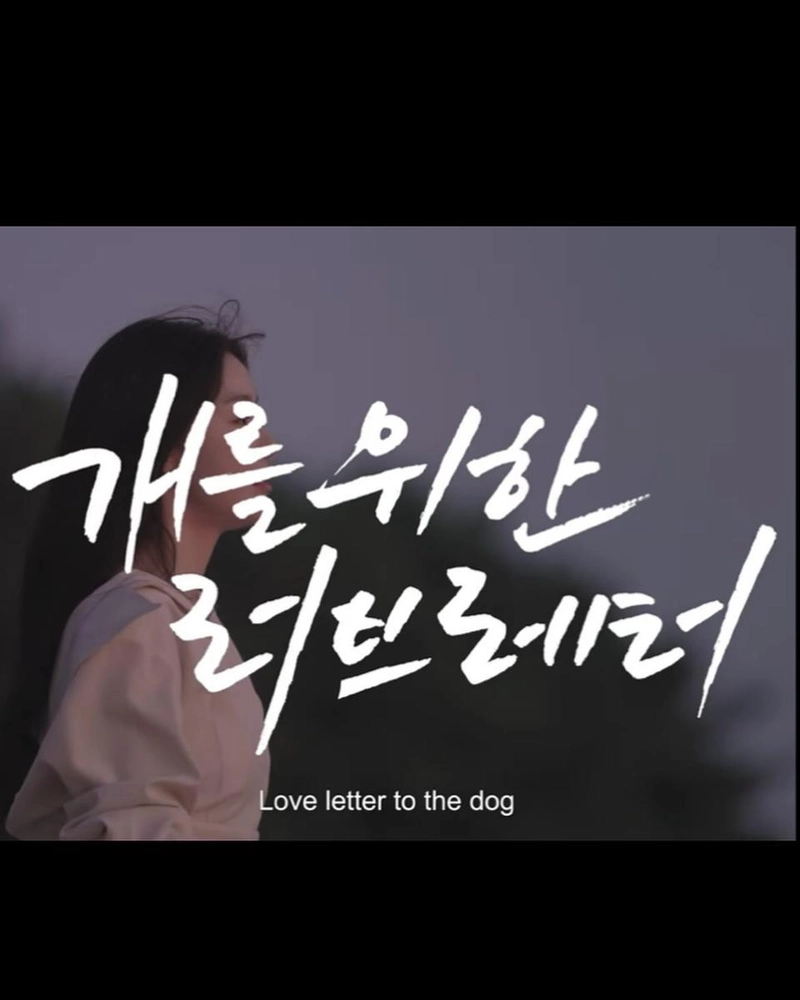 “작은 위로를 전하고 싶었어요”…한선화, 고요한 여름 저녁→짙어진 감성 변주 / 배우 한선화 인스타그램