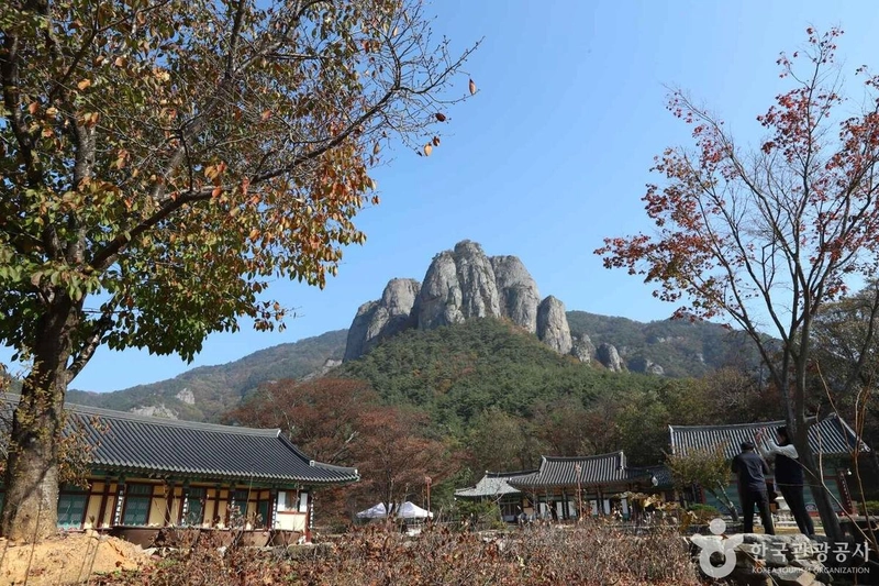 사진 출처 = 포토코리아(한국관광공사) 대전사
