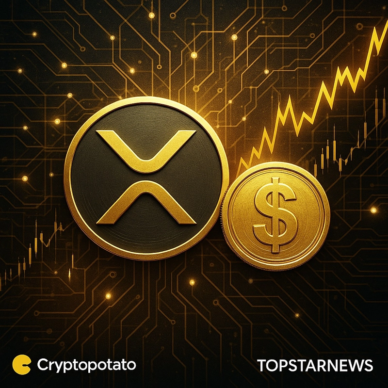 XRP, 사상 최고가 $3.65 돌파 후 숨 고르기… 고래 이체와 네트워크 성장 둔화가 변수