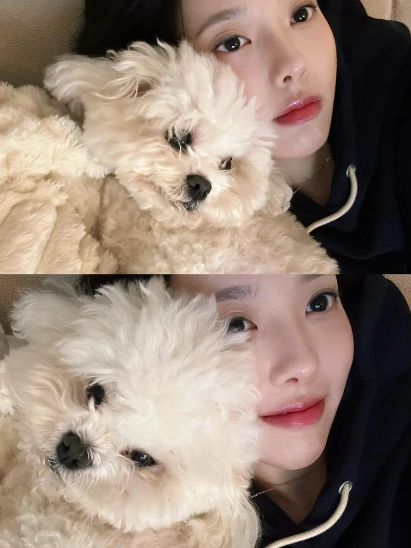 “앨범 속 추억이 가득해”…윤조, 포근한 오후→반려견과의 온기 공유 / 가수, 배우 윤조 인스타그램