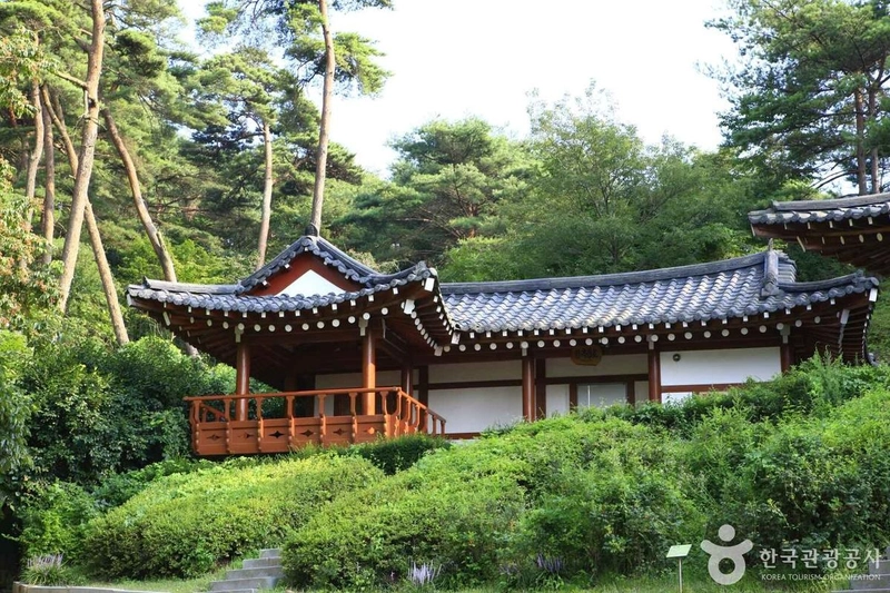 사진 출처 = 포토코리아(한국관광공사) 안면도자연휴양림