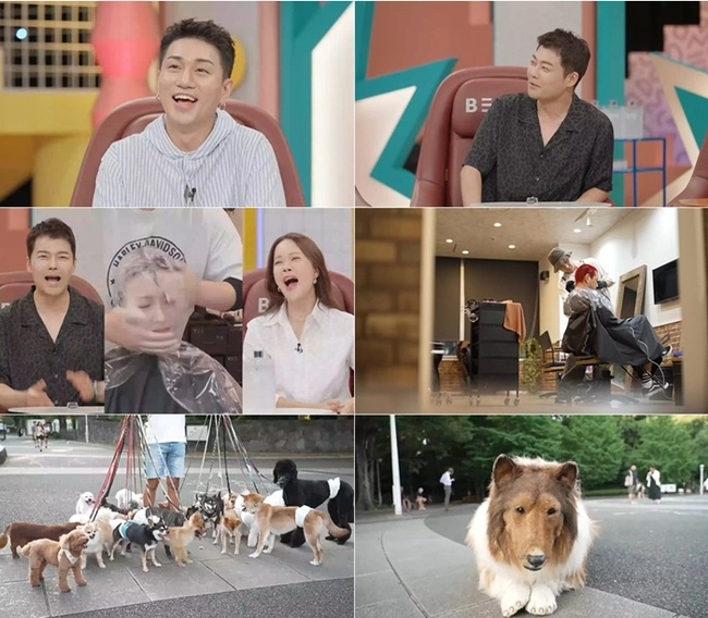 전현무, 21마리 개 몰이 현장 직격…일본 충격 현상에 감탄→참을 수 없는 미소