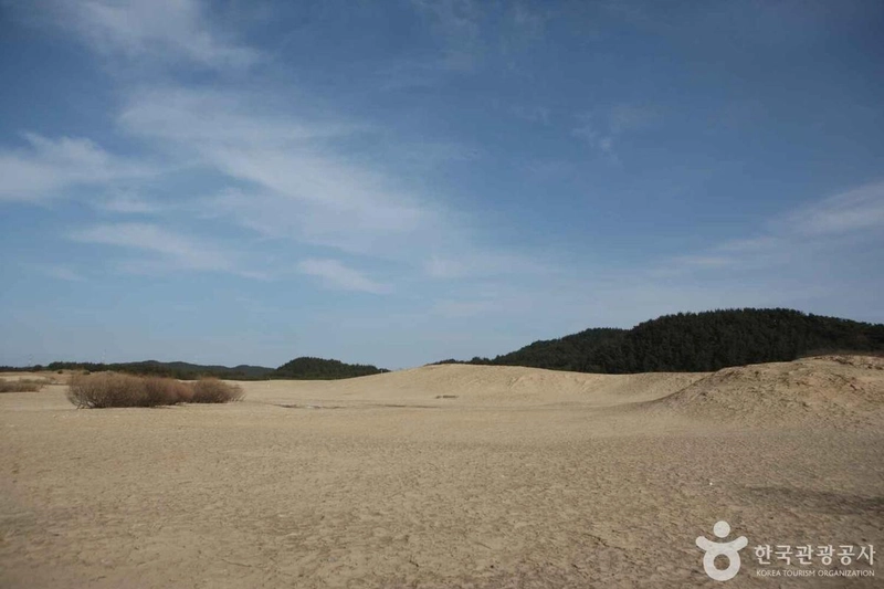 사진 출처 = 포토코리아(한국관광공사) 태안 신두리 해안사구