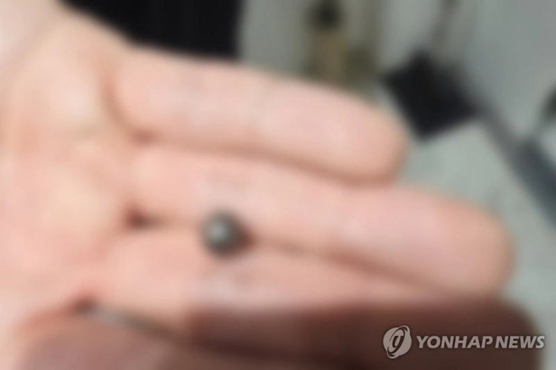 연합뉴스