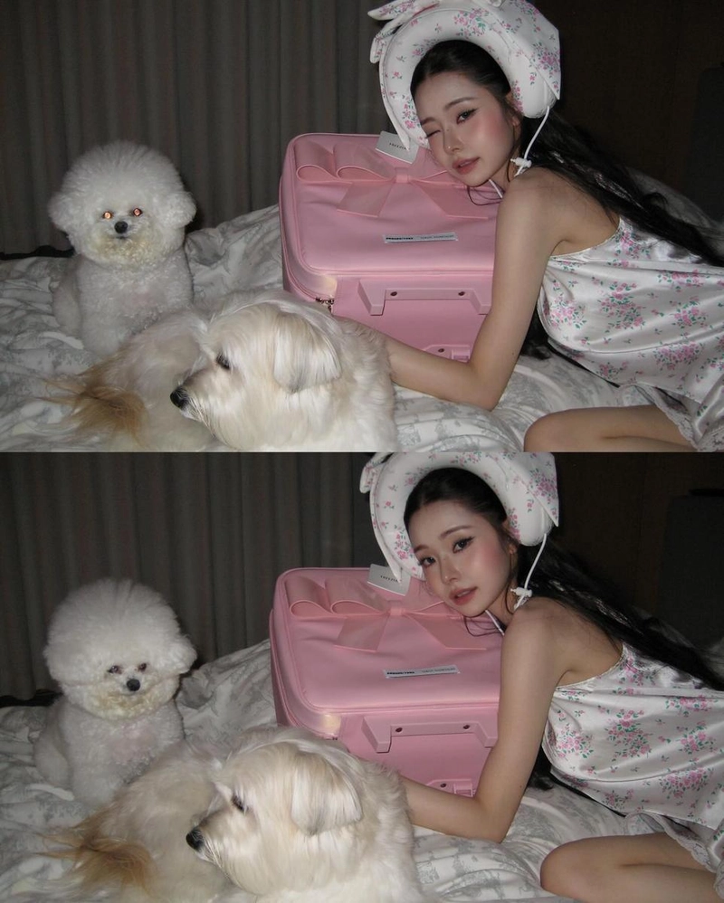 “저무는 여름밤, 달콤한 휴식”…프리지아, 핑크빛 포근함→몽환적 일상 / 인플루언서 프리지아 인스타그램