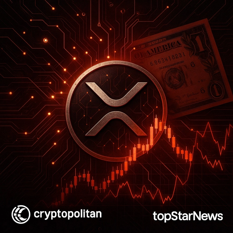 리플 공동창업자, 3천억 원대 XRP 대량 이체…시장 덤핑 논란