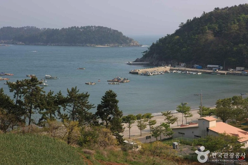 사진 출처 = 포토코리아(한국관광공사) 설리해수욕장