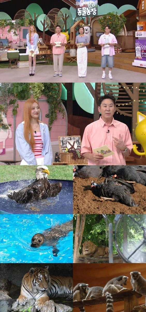 얼음 간식에 장어 추격까지…‘TV동물농장’ 사육사 어벤져스, 동물 여름나기 2탄→유쾌한 생존법