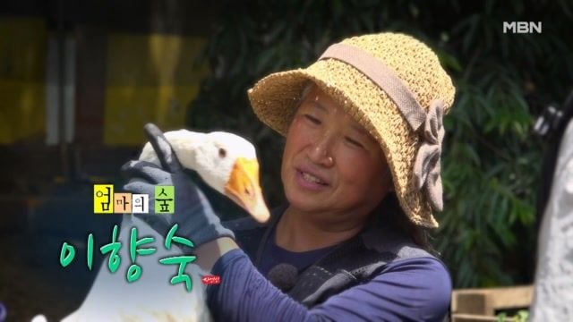 숲에 울려 퍼진 동물들의 아침…‘나는 자연인이다’ 이향숙, 엄마의 손길→산중의 평화 / MBN