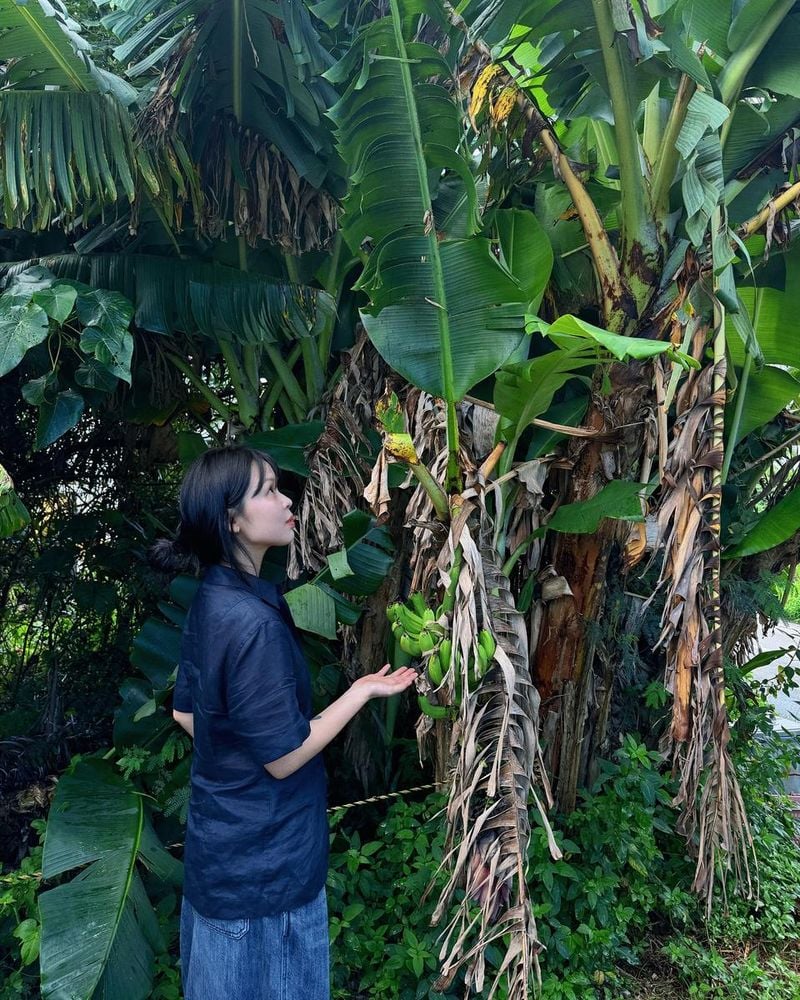“짙은 초록 아래 나른한 시선”…최유리, 여름 숲길 산책→고요한 감성 / 가수 최유리 인스타그램