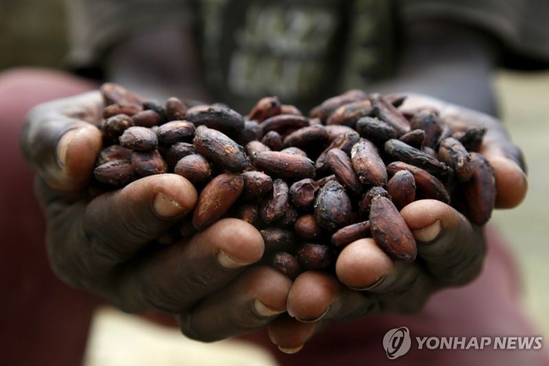 코코아 가격 3.3배 급등…국제 시장 사상 최고치 근접