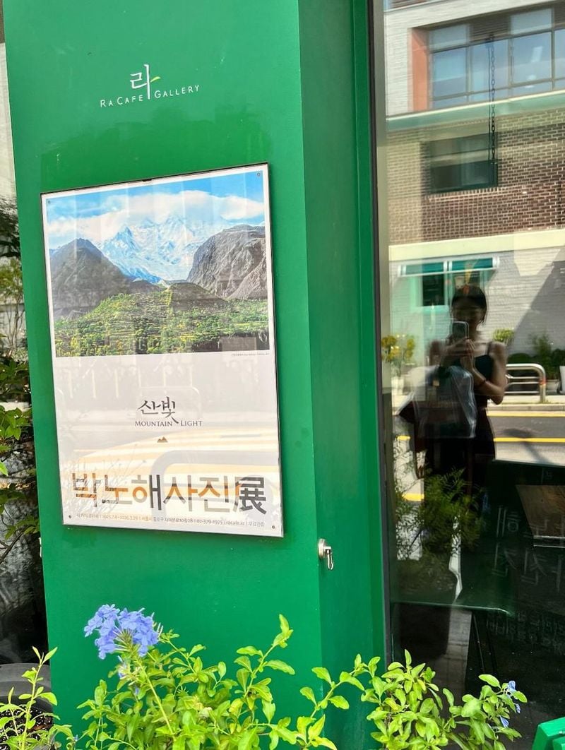 “산빛의 물음표”…신소율, 녹음 아래 사유→잔상 남긴 여름 오후 / 배우 신소율 인스타그램