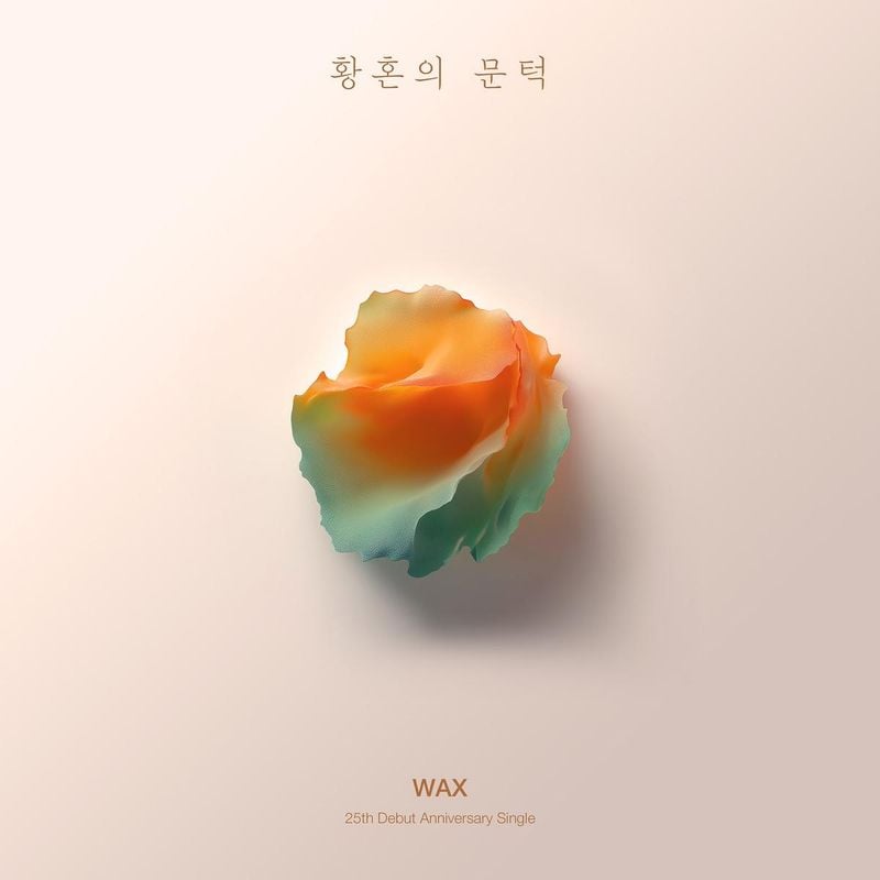 “내 나이의 목소리로 부른 노래”…왁스, 황혼의 문턱→25주년 리메이크 / 가수 왁스 인스타그램