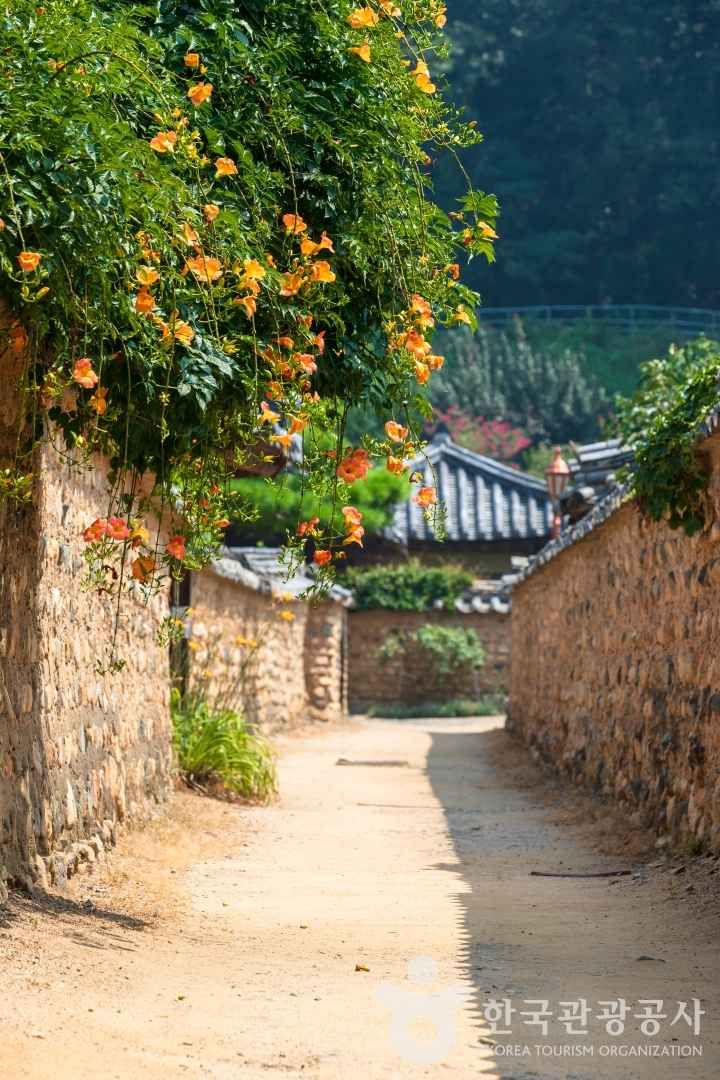 사진 출처 = 포토코리아(한국관광공사) 남평문씨본리세거지