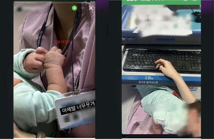 뉴시스