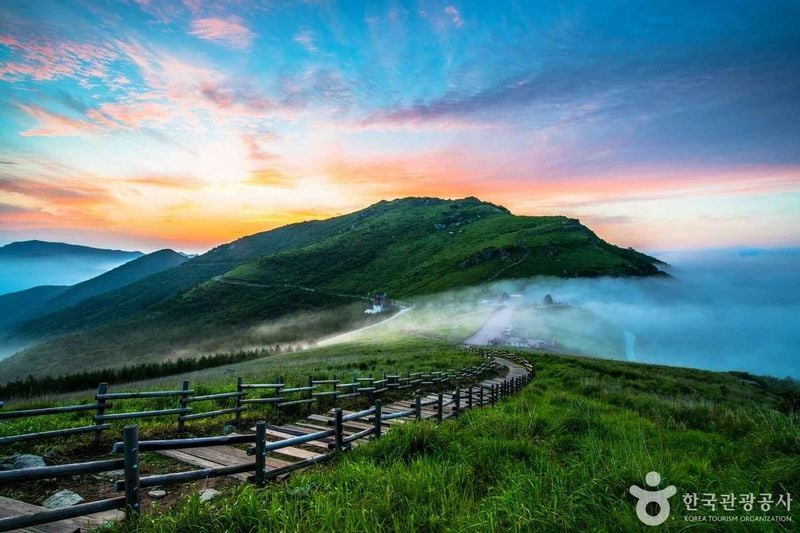 사진 출처 = 포토코리아(한국관광공사) 간월재의 여름