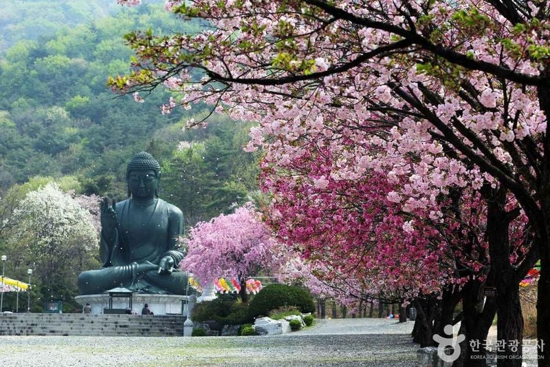 사진 출처 = 포토코리아(한국관광공사) 각원사