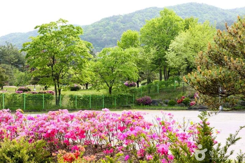 사진 출처 = 포토코리아(한국관광공사) 미동산수목원