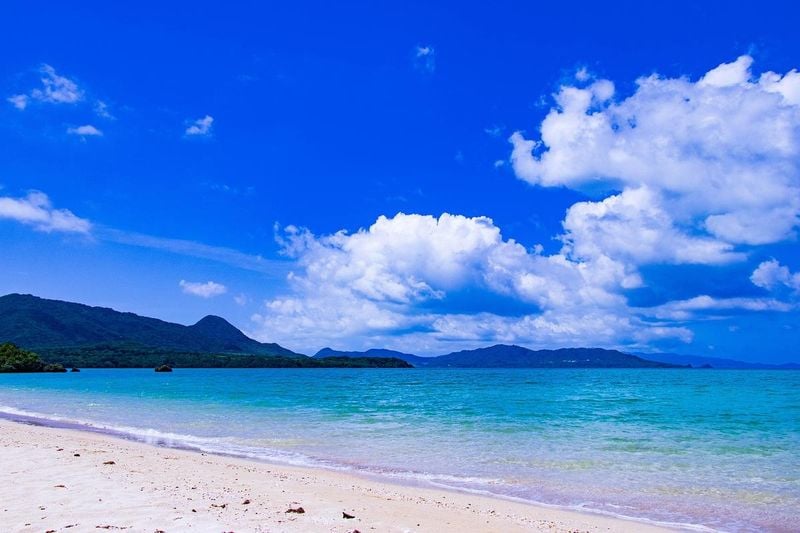 사진 출처 = pixabay