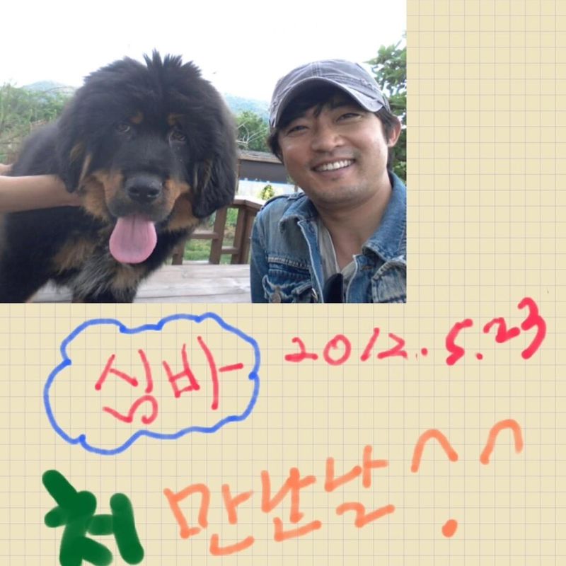 “심바가 하늘을 달린 날”…안재욱, 시간 위로→진심 어린 이별 담아 / 배우 안재욱 인스타그램
