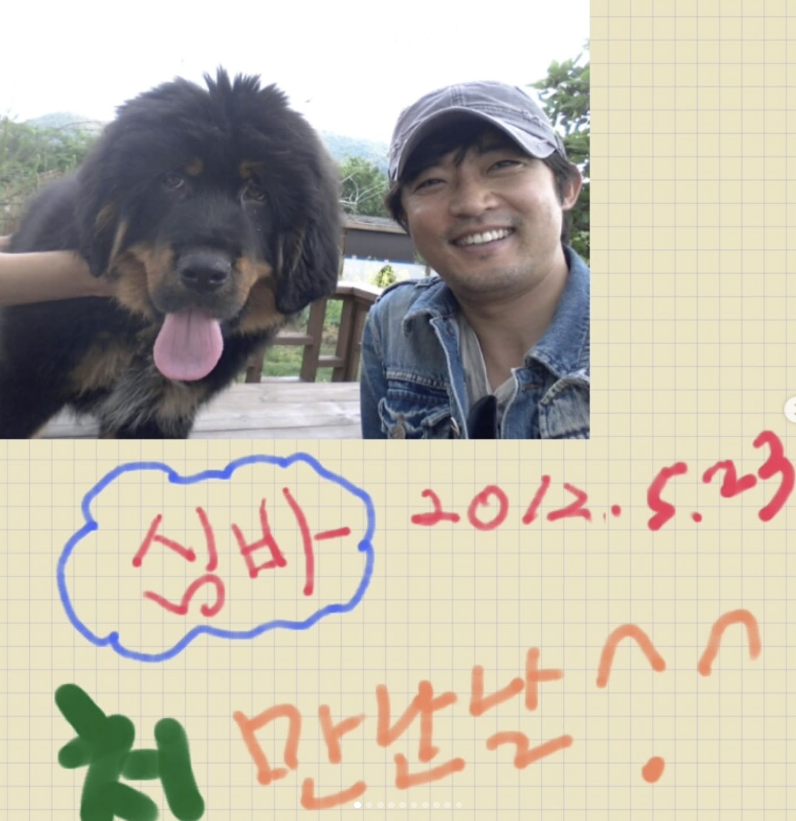 안재욱, 시간 멈춘 심바 사진에 눈물 머금다