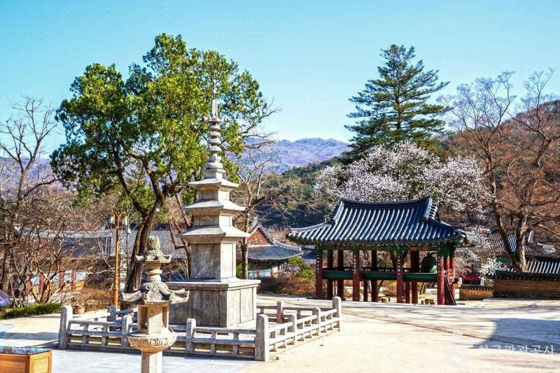 사진 출처 = 포토코리아(한국관광공사) 직지사