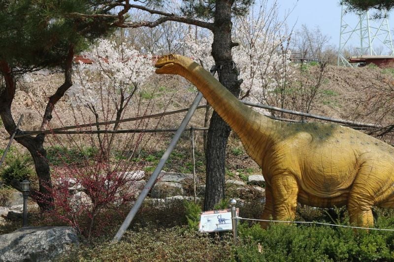 사진 출처 = 포토코리아(한국관광공사) 덕소자연사박물관