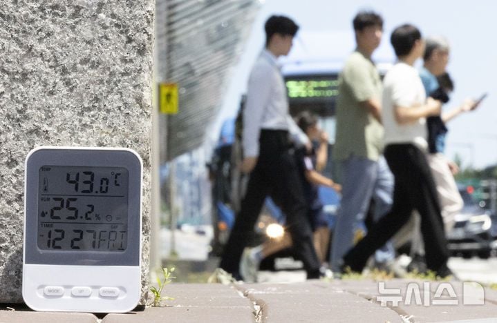 “비타민B군, 피로 잡는다”…JW중외제약·대웅제약, 고함량 복합제품 출격