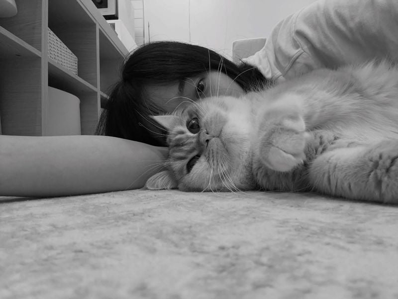 “하루 끝에 닿은 고요함”…김혜준, 반려묘와 여름밤→따스한 교감 / 배우 김혜준 인스타그램