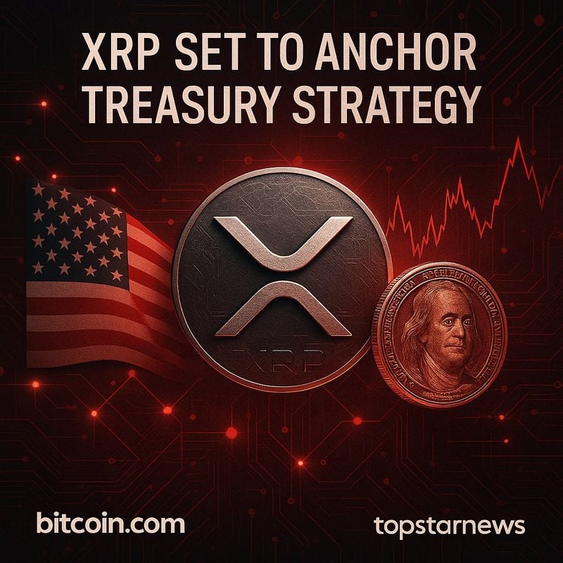 리플 XRP 중심 재무 전략 강화…하이퍼스케일데이터, 3년 장기보유 검토