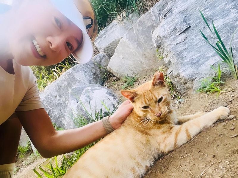 “며칠 만에 다시 만나 반가웠다”…김희애, 한강의 여름 고양이→따스한 미소 / 배우 김희애 인스타그램