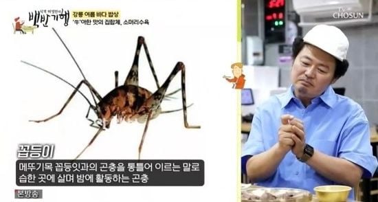 윤택 / MBN '나는 자연인이다'