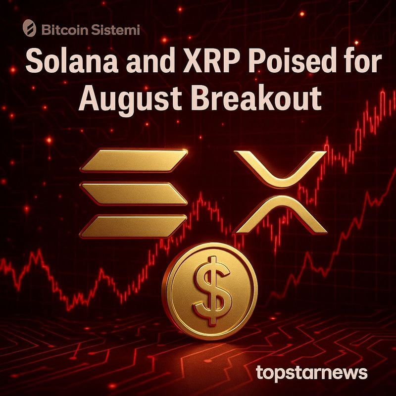 솔라나와 리플 XRP, 8월 대세 상승 기대감 고조…매각 조정 속 헤데라도 주목