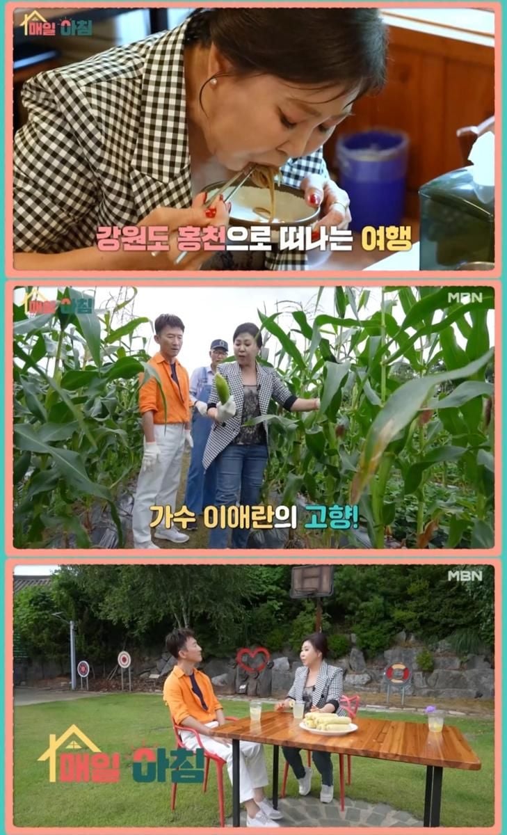 MBN ‘매일아침’ 방송 캡처