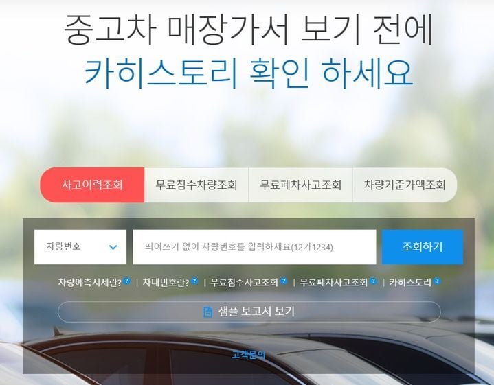 출처=보험개발원