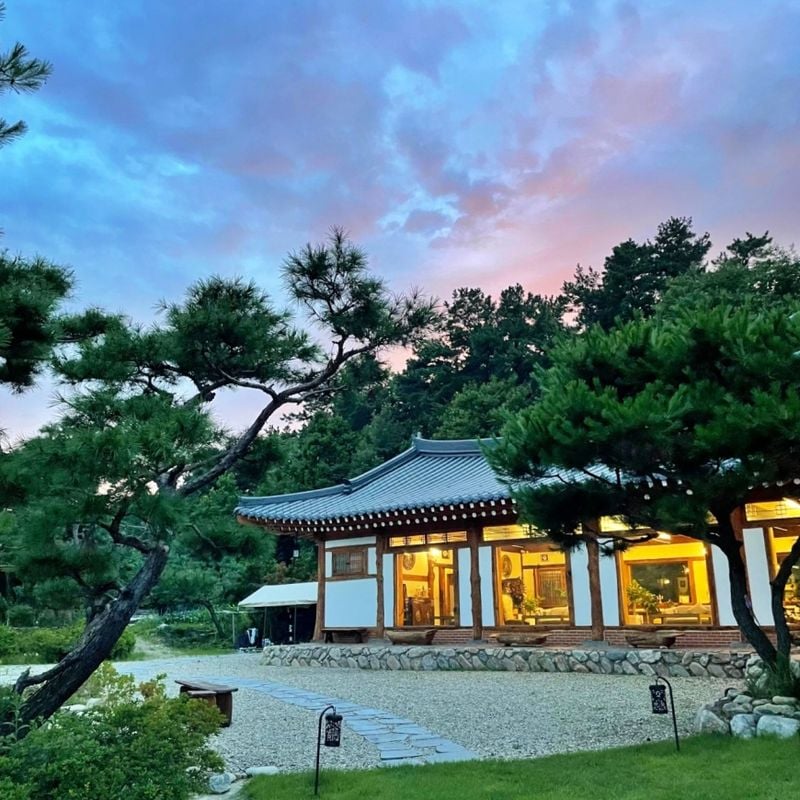 오늘N 유자얼그레이 한옥카페, 앤틱 감성 유혹