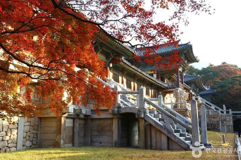 출처: 한국관광공사