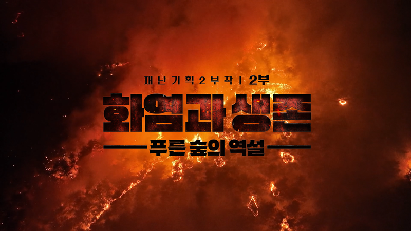 “푸른 숲의 역설”…다큐 인사이트, 대형 산불 시대→생존 해법을 묻다 / KBS
