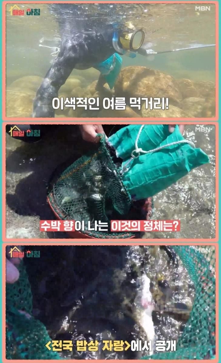 MBN ‘매일아침’ 방송 캡처