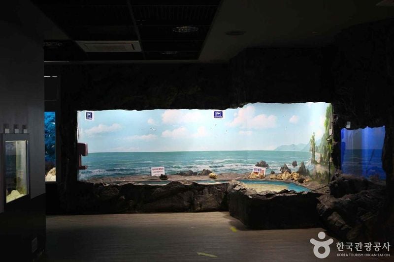 사진 출처 = 포토코리아(한국관광공사) 해양테마체험관