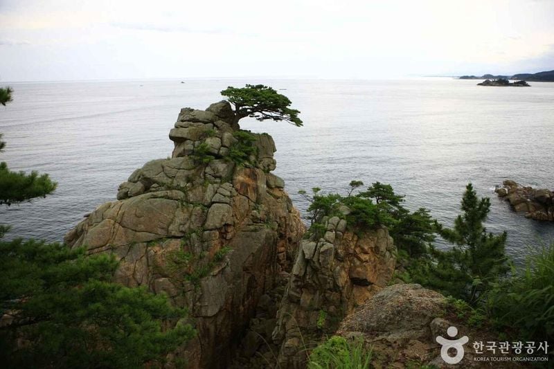 사진 출처 = 포토코리아(한국관광공사) 하조대
