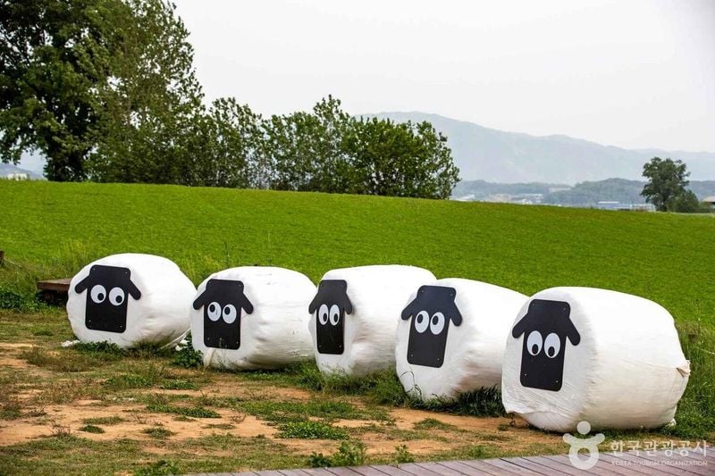 사진 출처 = 포토코리아(한국관광공사) 안성팜랜드
