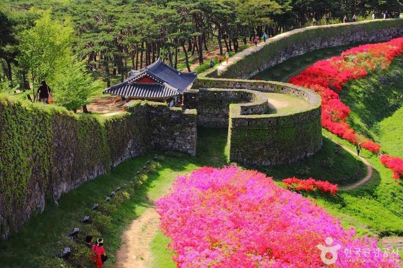사진 출처 = 포토코리아(한국관광공사) 고창읍성